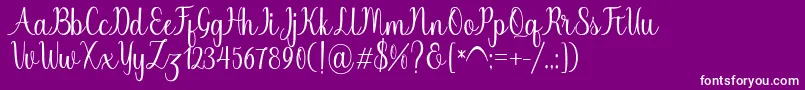 Chinchilla Font – White Fonts on Purple Background