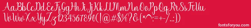 Chinchilla Font – White Fonts on Red Background