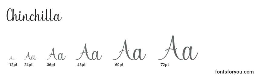 Chinchilla Font Sizes