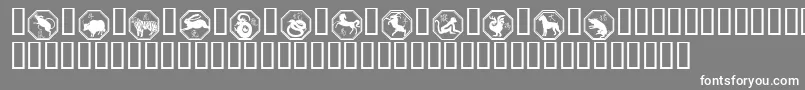 Chinese Zodiac-Schriftart – Weiße Schriften auf grauem Hintergrund