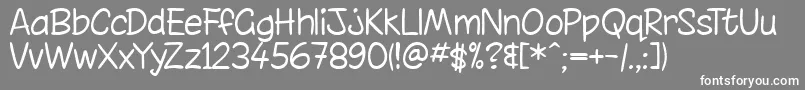 chint    Font – White Fonts on Gray Background