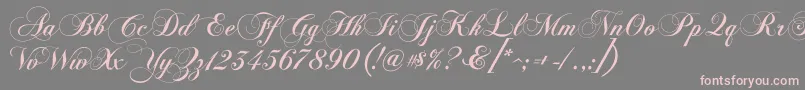 fuente ChopinScript – Fuentes Rosadas Sobre Fondo Gris