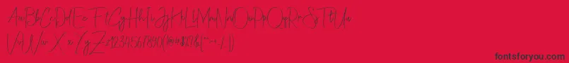 Christina Allie Font – Black Fonts on Red Background