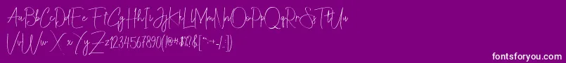 Christina Allie Font – White Fonts on Purple Background