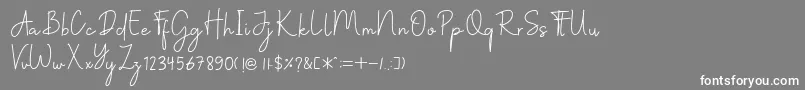 フォントChristine – 灰色の背景に白い文字