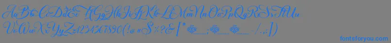 ChristmasWish Calligraphy Font – Blue Fonts on Gray Background