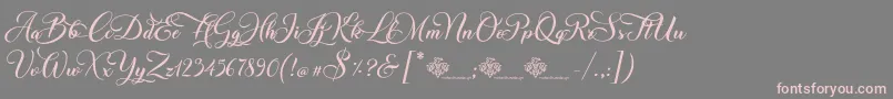 ChristmasWish Calligraphy Font – Pink Fonts on Gray Background