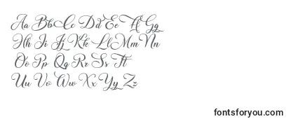 Überblick über die Schriftart ChristmasWish Calligraphy