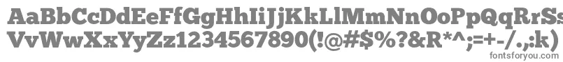 フォントChunk – 白い背景に灰色の文字