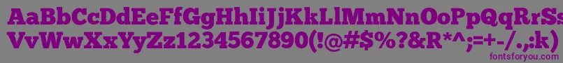 Chunk Font – Purple Fonts on Gray Background