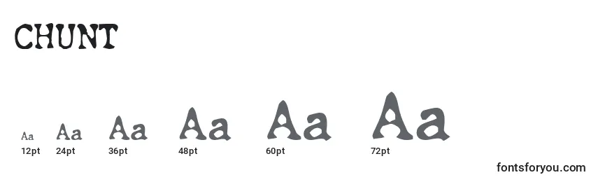 CHUNT    (123463) Font Sizes