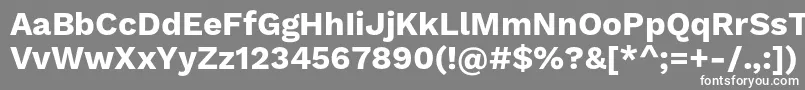 フォントWorksansBold – 灰色の背景に白い文字