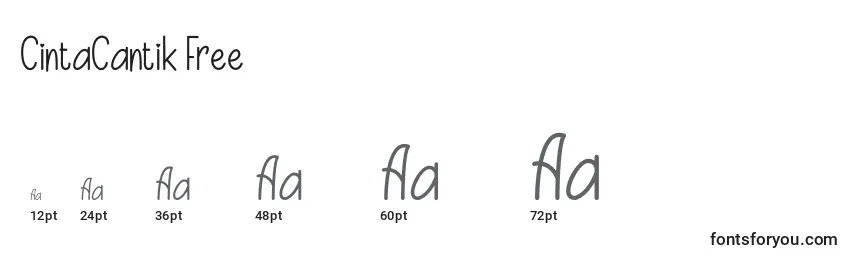 CintaCantik Free Font Sizes