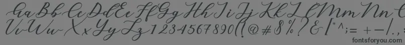 Cintya Script-fontti – mustat fontit harmaalla taustalla