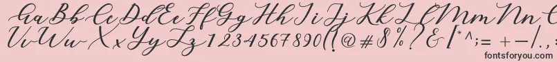 Cintya Script Font – Black Fonts on Pink Background