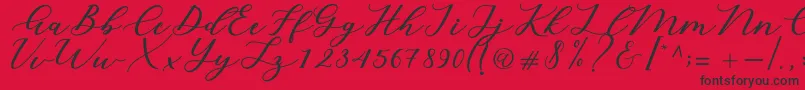 Cintya Script Font – Black Fonts on Red Background