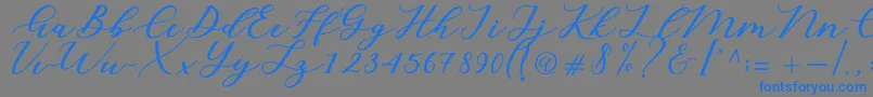 Шрифт Cintya Script – синие шрифты на сером фоне