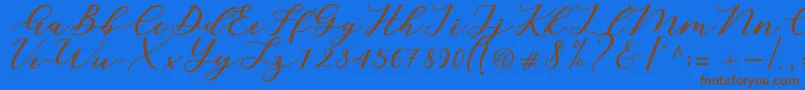 Cintya Script Font – Brown Fonts on Blue Background
