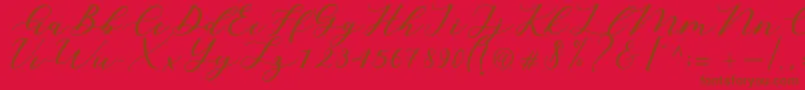 Cintya Script Font – Brown Fonts on Red Background