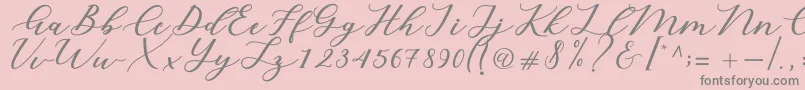 Cintya Script Font – Gray Fonts on Pink Background