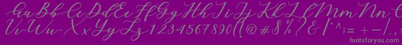 Cintya Script-Schriftart – Graue Schriften auf violettem Hintergrund