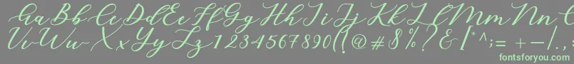 Cintya Script Font – Green Fonts on Gray Background