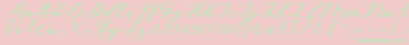 Cintya Script Font – Green Fonts on Pink Background