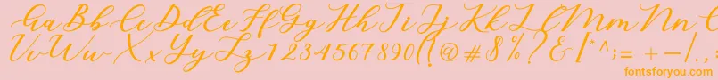 Cintya Script Font – Orange Fonts on Pink Background