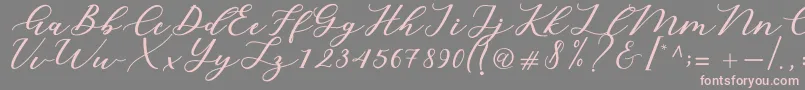 Cintya Script Font – Pink Fonts on Gray Background