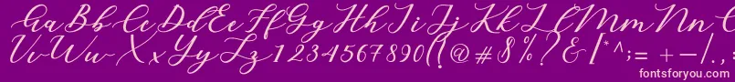 Cintya Script Font – Pink Fonts on Purple Background