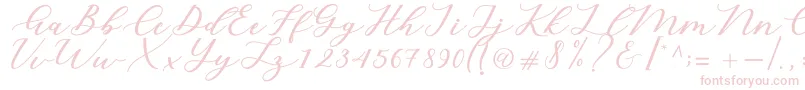 Cintya Script Font – Pink Fonts on White Background