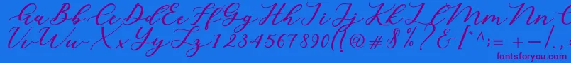 Cintya Script Font – Purple Fonts on Blue Background