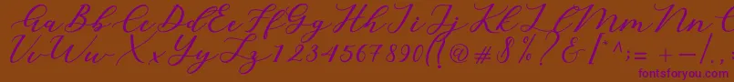 Cintya Script Font – Purple Fonts on Brown Background