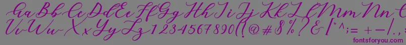 Cintya Script-fontti – violetit fontit harmaalla taustalla