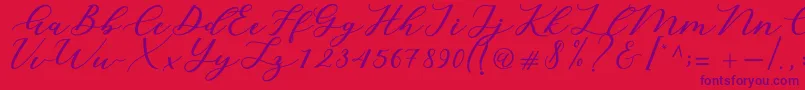 Cintya Script Font – Purple Fonts on Red Background