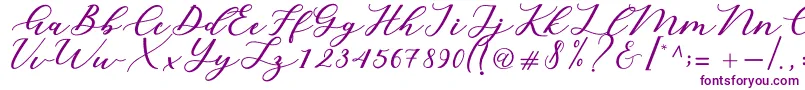 Cintya Script-fontti – violetit fontit valkoisella taustalla