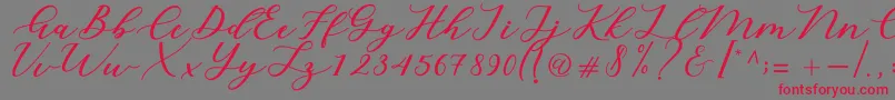 フォントCintya Script – 赤い文字の灰色の背景