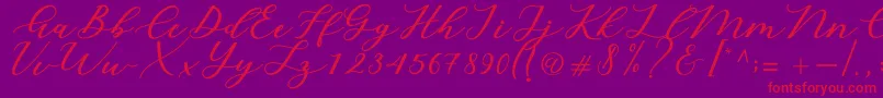 Cintya Script-Schriftart – Rote Schriften auf violettem Hintergrund
