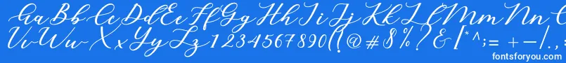 Cintya Script Font – White Fonts on Blue Background