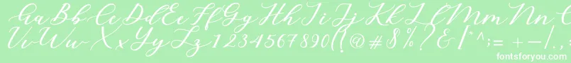 Cintya Script Font – White Fonts on Green Background