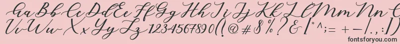 Cintya Script Font – Black Fonts on Pink Background