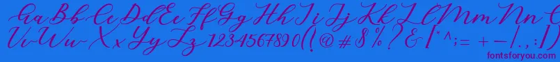 Cintya Script Font – Purple Fonts on Blue Background