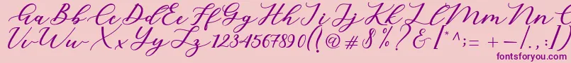 Cintya Script-Schriftart – Violette Schriften auf rosa Hintergrund