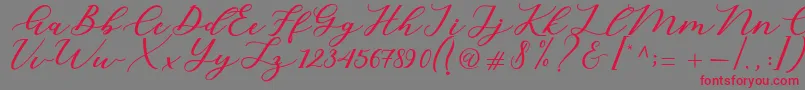 フォントCintya Script – 赤い文字の灰色の背景