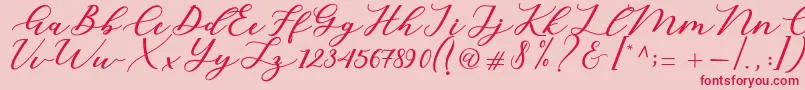 Cintya Script Font – Red Fonts on Pink Background