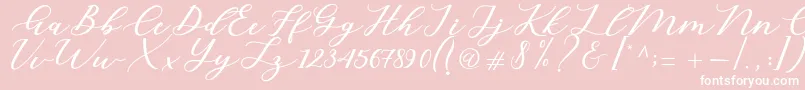 Cintya Script Font – White Fonts on Pink Background