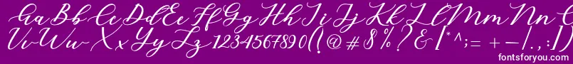 Cintya Script-fontti – valkoiset fontit violetilla taustalla