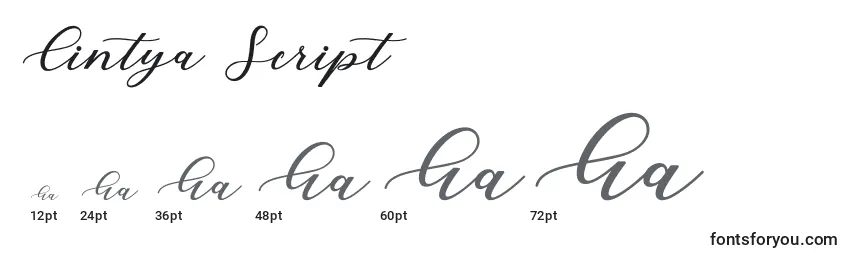 Rozmiary czcionki Cintya Script (123483)