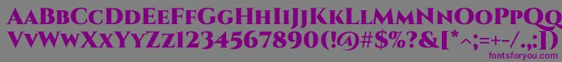 Шрифт Cinzel Black – фиолетовые шрифты на сером фоне