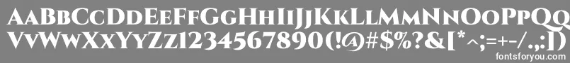 フォントCinzel Black – 灰色の背景に白い文字